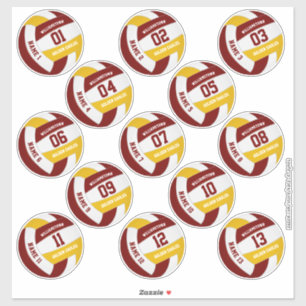 maroon gold volleyball team colours players names