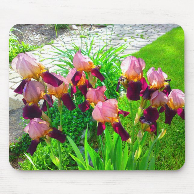 Maroon Iris Flower Mousepad (Front)