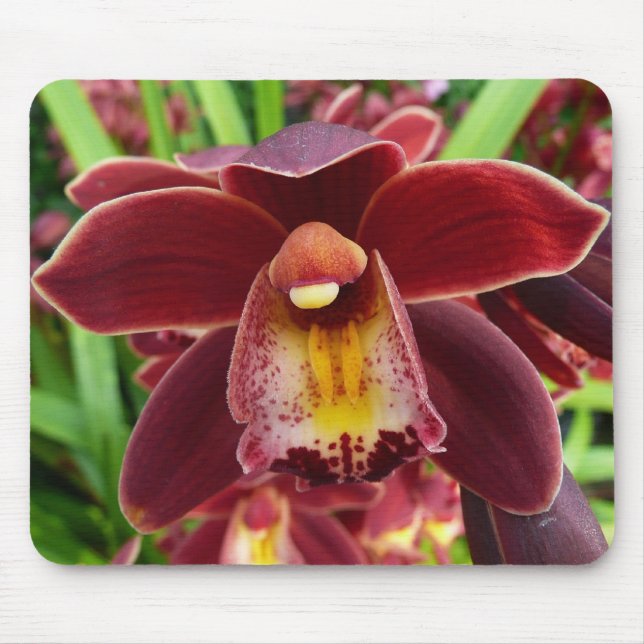 Maroon Orchids I Beautiful Red Floral Mouse Mat (Front)