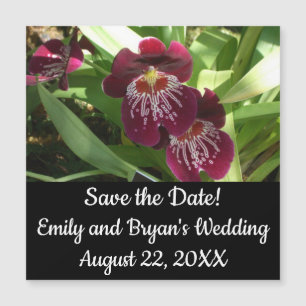 Maroon Orchids II
