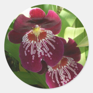 Maroon Orchids II Elegant Floral Classic Round Sticker