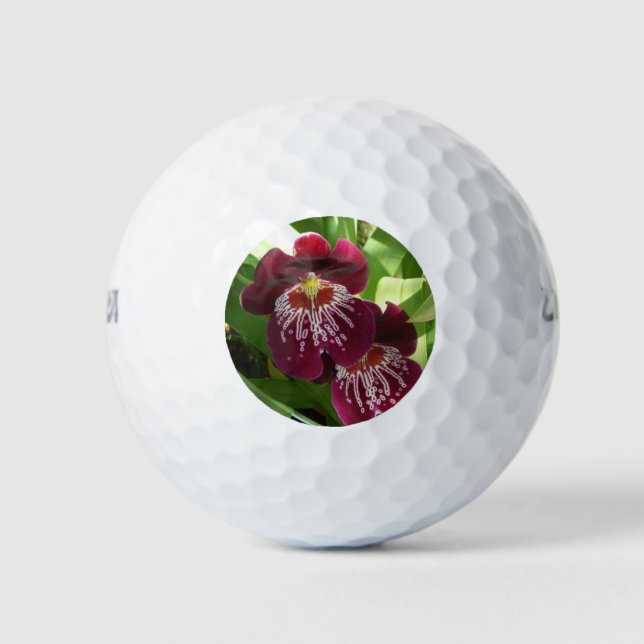 Maroon Orchids II Elegant Floral Golf Balls (Front)
