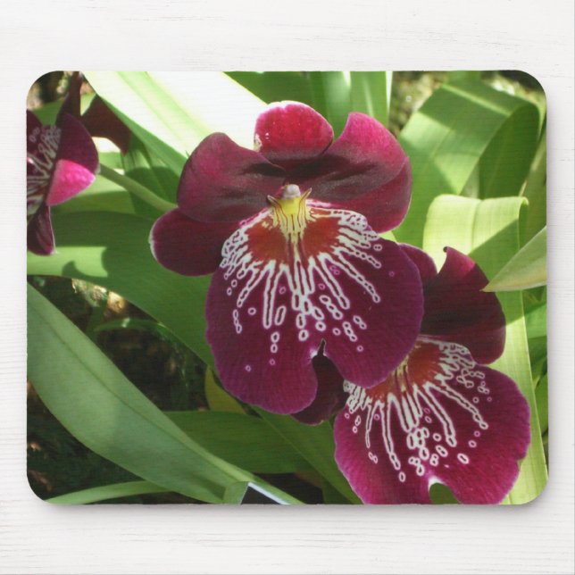 Maroon Orchids II Elegant Floral Mouse Mat (Front)