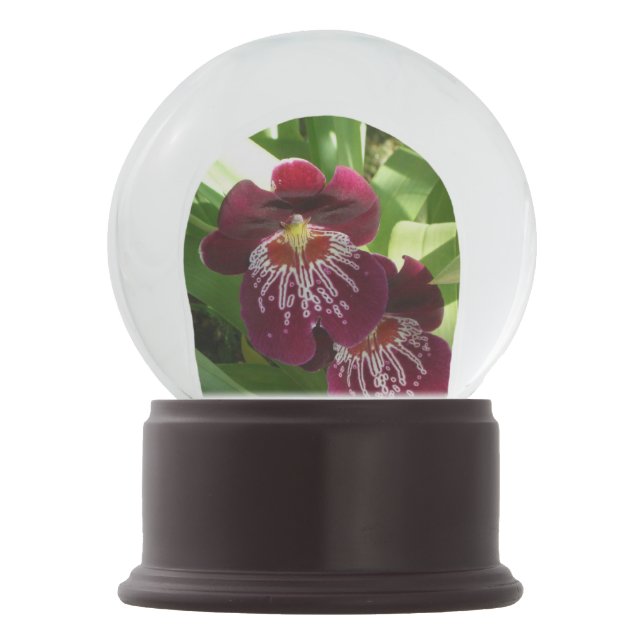 Maroon Orchids II Elegant Floral Snow Globe (Back)