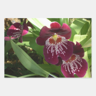 Maroon Orchids II Wrapping Paper Sheet