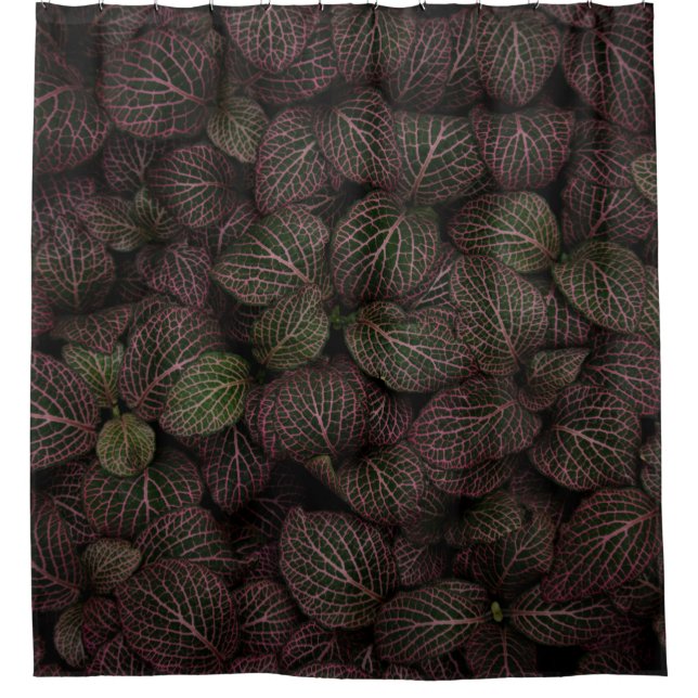 Maroon petaled flower shower curtain (Front)