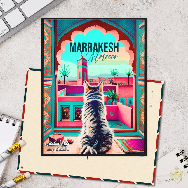 Marrakech Morocco Cat Travel Tourism Souvenir Postcard (Creator Uploaded)