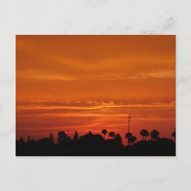 Marrakech Sunset Postcard (Front)