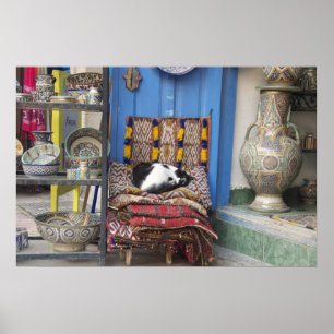 Marrakesh Cat Poster