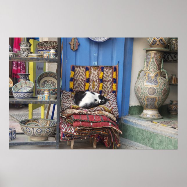 Marrakesh Cat Poster (Front)