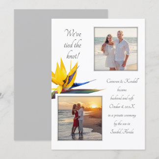 Marriage Announcement Bird-of-paradise 2 Photos