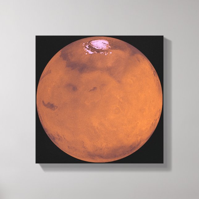 Mars 5 canvas print (Front)
