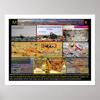 Mar's Animal Life Poster