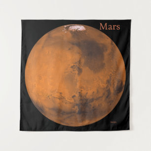 Mars Globe by NASA Tapestry