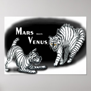 Mars meets Venus Poster