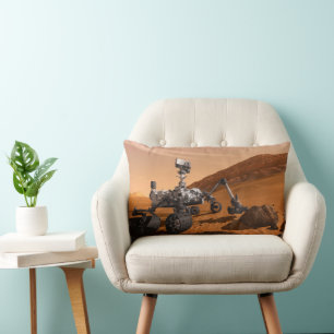 Mars Science Laboratory Curiosity Rover. Lumbar Cushion