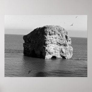 Marsden Rock Poster