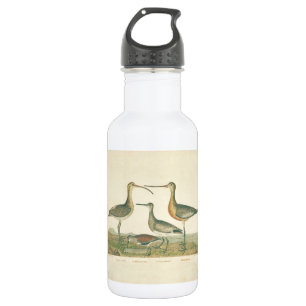 Marsh Bird Curlew Snipe Birding 532 Ml Water Bottle