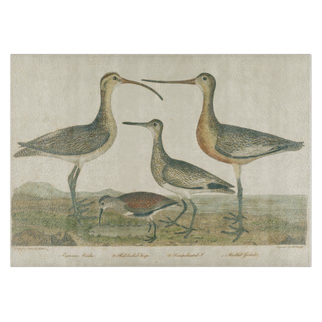 Marsh Bird Curlew Snipe Birding Cutting Board (Front)