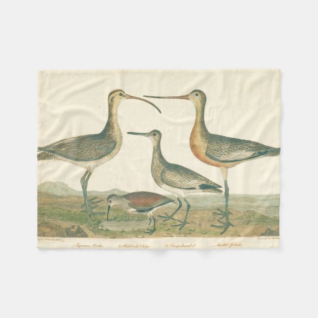 Marsh Bird Curlew Snipe Birding Fleece Blanket (Front (Horizontal))