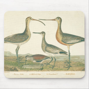 Marsh Bird Curlew Snipe Birding Mouse Mat