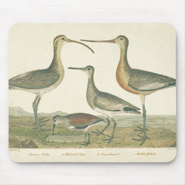 Marsh Bird Curlew Snipe Birding Mouse Mat (Front)