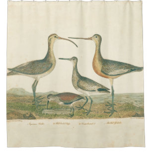 Marsh Bird Curlew Snipe Birding Shower Curtain