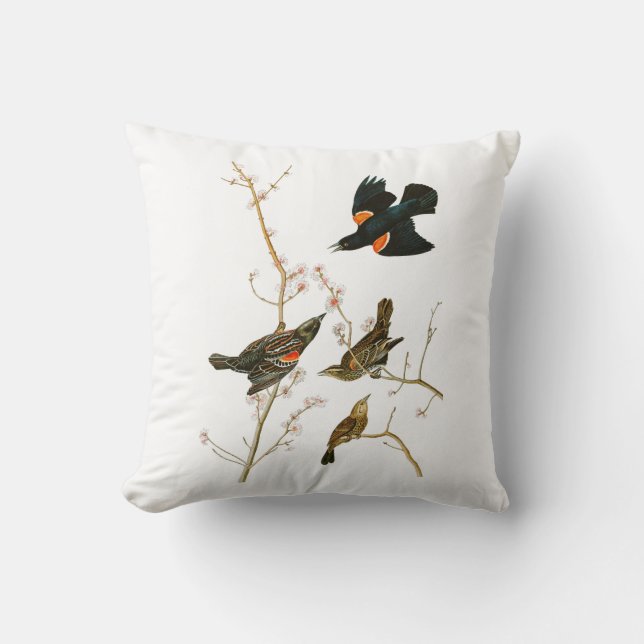 Marsh Blackbird John Audubon Birds of America Cushion (Front)