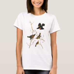 Marsh Blackbird John Audubon Birds of America T-Shirt