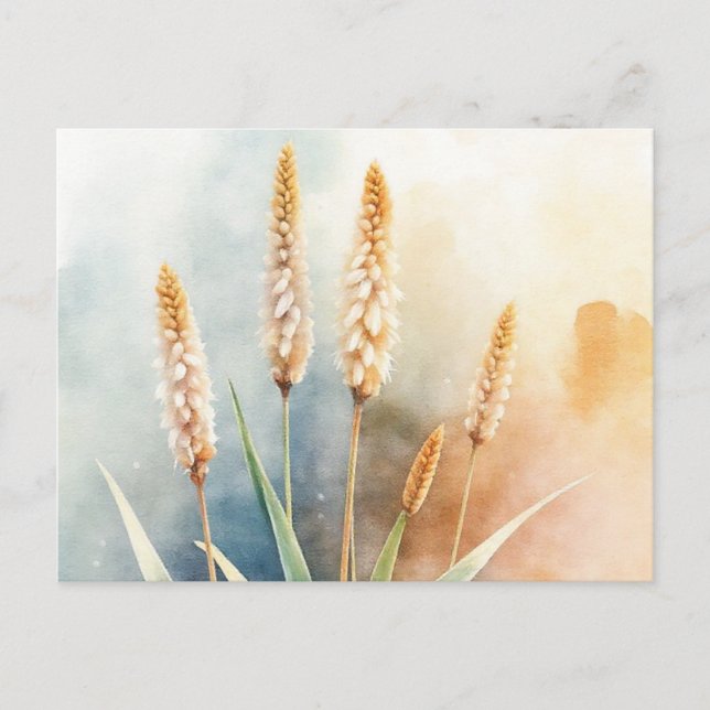 Marsh Cattails in Watercolor Postcard (Front)