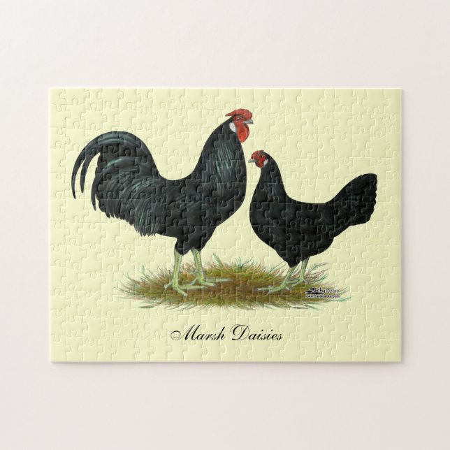 Marsh Daisy Chickens Jigsaw Puzzle (Horizontal)