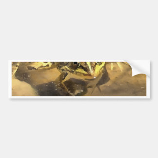 Marsh Frog Bumper Sticker
