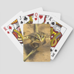 Marsh Frog Immersed In River Water Painting Playing Cards