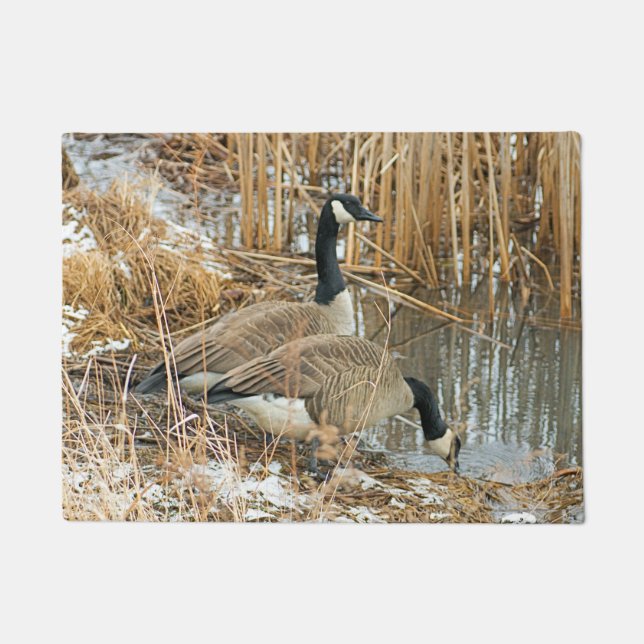 Marsh Geese Birds Goose  Doormat (Front)