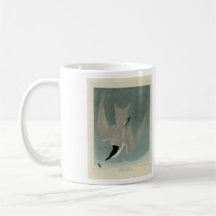 Marsh (Gull-Billed) Tern, Audubon Birds of America Coffee Mug