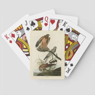 Marsh Hawk from Audubon's Birds of America Playing Cards