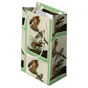 Marsh Hawk from Audubon's Birds of America Small Gift Bag