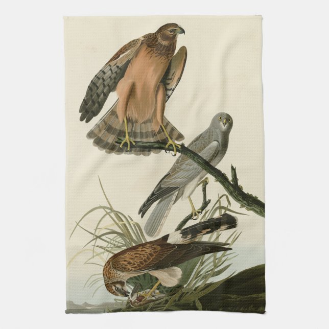 Marsh Hawk from Audubon's Birds of America Tea Towel (Vertical)
