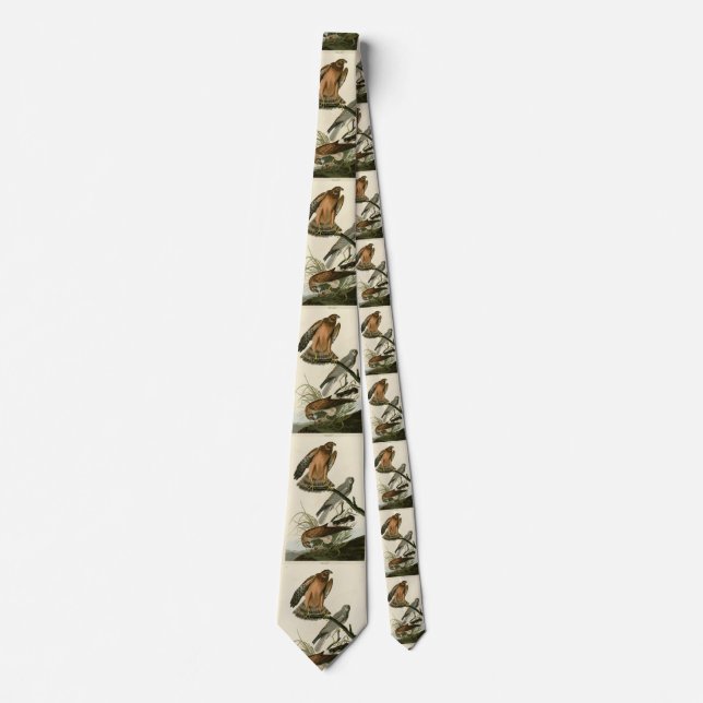Marsh Hawk from Audubon's Birds of America Tie (Front)