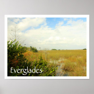 Marsh in Everglades National Park, Florida Poster