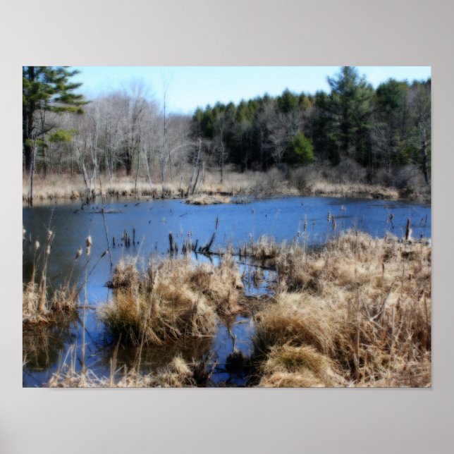 Marsh In Spring Orton Art Nature Poster (Front)