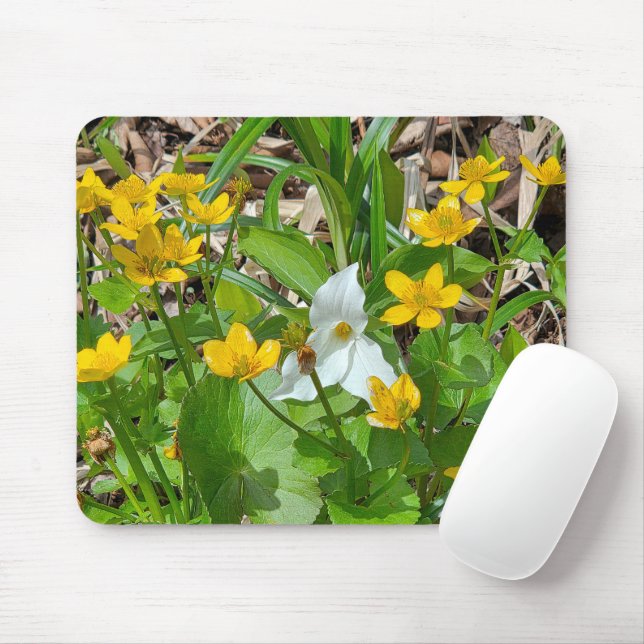 Marsh Marigold Flowers with a Trillium Mouse Mat (With Mouse)