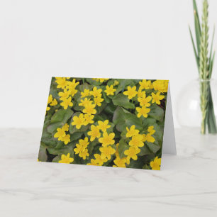 Marsh Marigold in Bloom Card