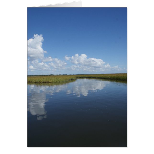 Marsh Mellow (Front)