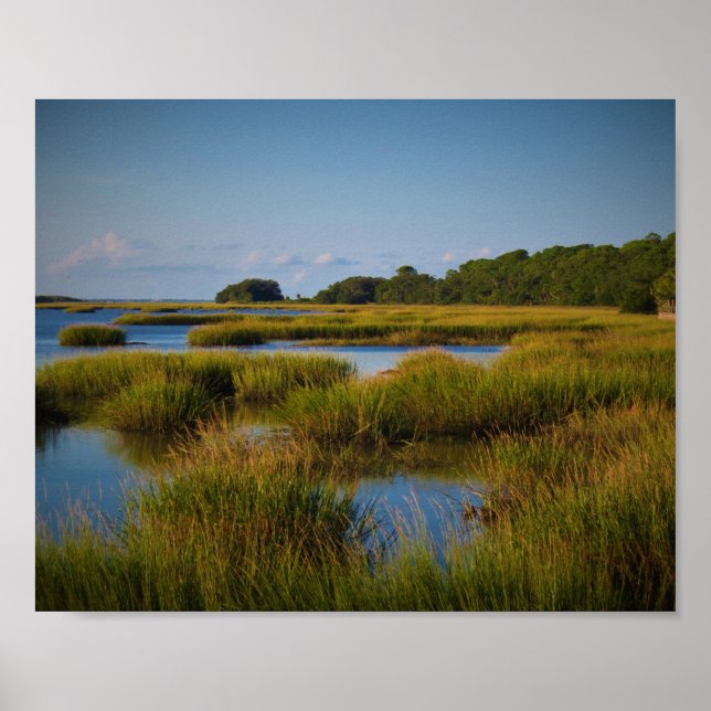 Marsh Poster (Front)