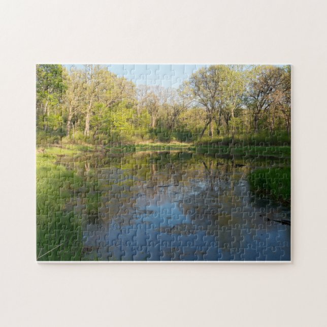 Marshes of Battle Creek Park Jigsaw Puzzle (Horizontal)