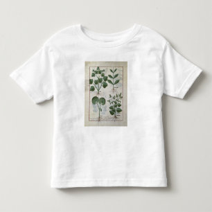 Marshmallow & Hastula Regia Asarabacca & Toddler T-Shirt