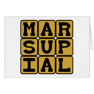 Marsupial, Pouch-Bearing Mammal