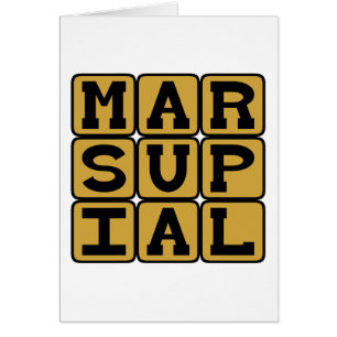 Marsupial, Pouch-Bearing Mammal