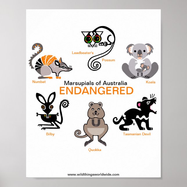 Marsupials - poster (Front)